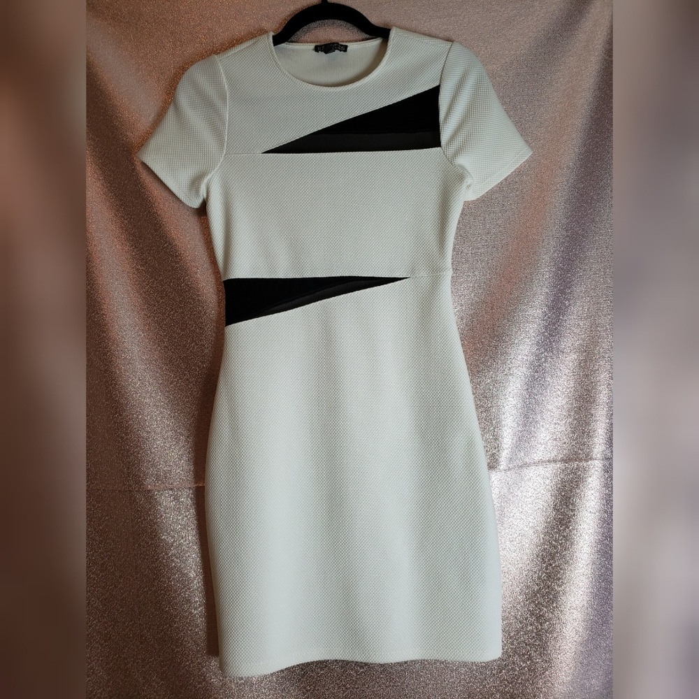 Express Bodycon Mesh Cut Out Dress White + Black